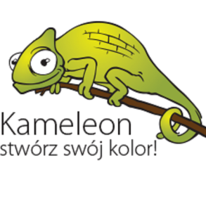 Kameleon - stwórz własny wzór